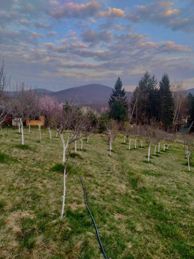 Vikendica-Sopocani Raška Exterior foto